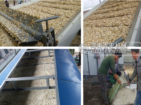 白瓜子烘干機(jī)_小型五香瓜子烘干設(shè)備價(jià)格_大型西瓜子烘干機(jī)廠(chǎng)家