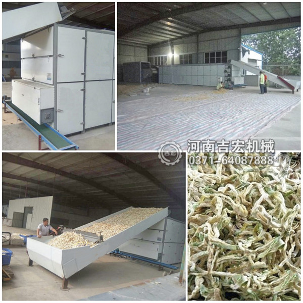 蘿卜烘干機(jī)_小型白蘿卜條烘干機(jī)價格_大型連續(xù)式胡蘿卜干烘干機(jī)廠家