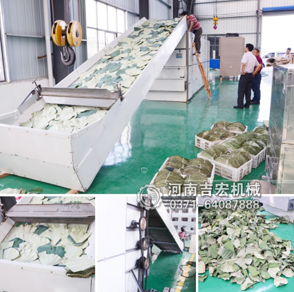 批把葉烘干機(jī)_小型銀杏葉烘干機(jī)價格_大型月桂葉烘干設(shè)備廠家